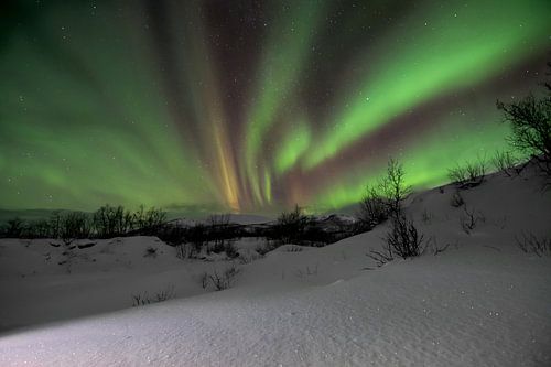 The magical Northern Lights above Lapland