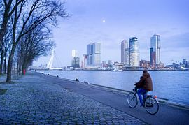 Cold winter day in Rotterdam by Roel Dijkstra