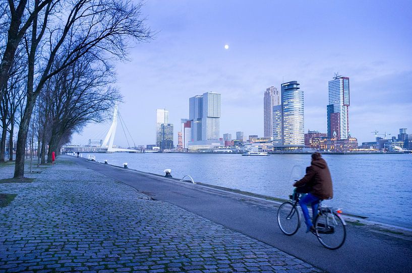 Kalter Wintertag in Rotterdam von Roel Dijkstra