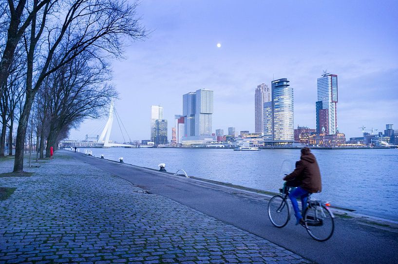 Journée froide d'hiver à Rotterdam par Roel Dijkstra