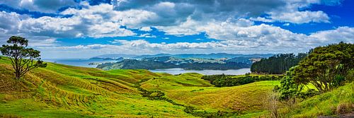 Panorama van het heuvellandschap, Nieuw Zeeland