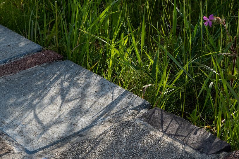 La bataille des lignes par Karin van Bylevelt