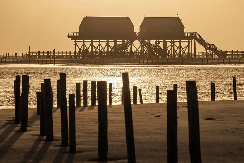 Pile dwellings on the North Sea coast on the beach at St. Peter Ording at sunset by Frank Herrmann