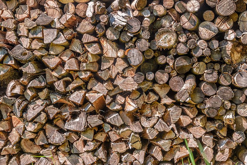 Houtstapel van Thomas Heitz