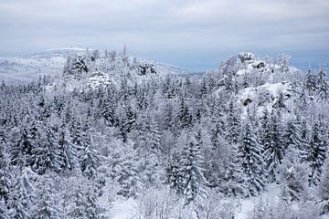 Harz - Uitzicht vanaf de Leistenklippe naar de Brocken in de winter van t.ART