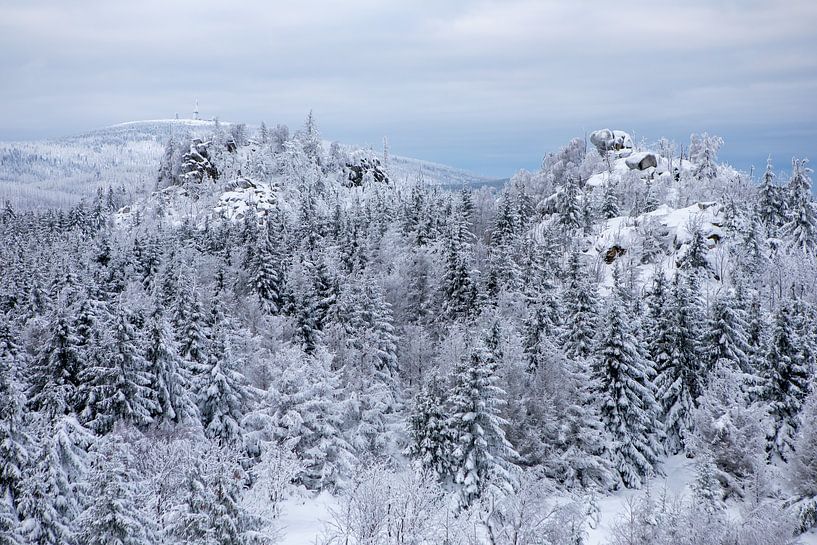 Harz - Blick von der Leistenklippe zum Brocken im Winter von t.ART