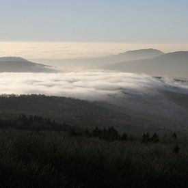 Nebelschwaden in der Rhön im Herbst von Martin Flechsig