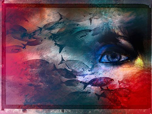 Het oog en de vissen