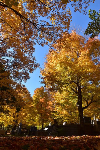 At the cemetery in autumn by Claude Laprise