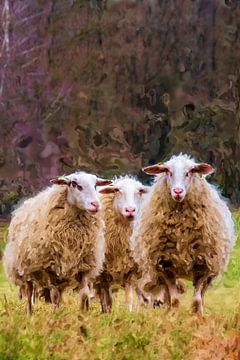 Hoog Buurlo and the sheep. by Frans Van der Kuil