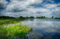 Foto vanuit natuurontwikkeling Millingerwaard