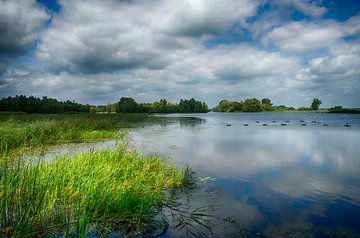 Millingerwaard Swamp Landscape River Waal Nijmegen von Waterpieper Fotografie