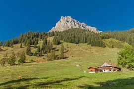 Swiss hills by Tim van Breukelen