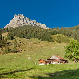 Schweizer Berge von Tim van Breukelen