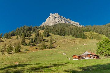Zwitserse heuvels van Tim van Breukelen