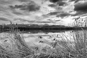 Hopfensee