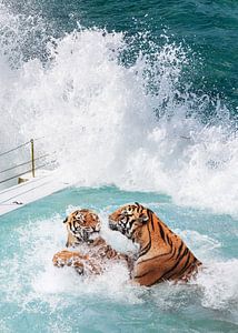 Tiger's Pool