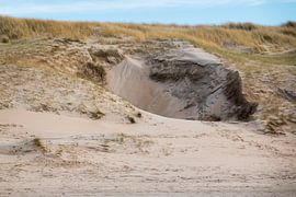 Dune landscape by Dutch Creator