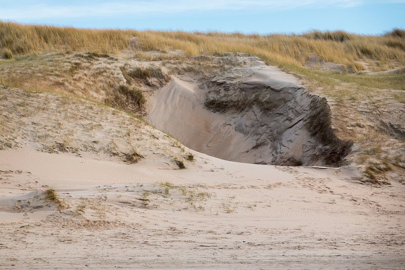Dune landscape by Dutch Creator