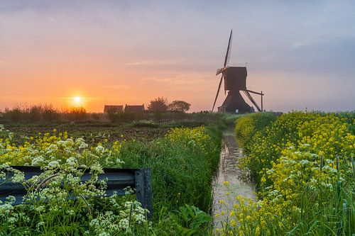 Moulin au lever du soleil