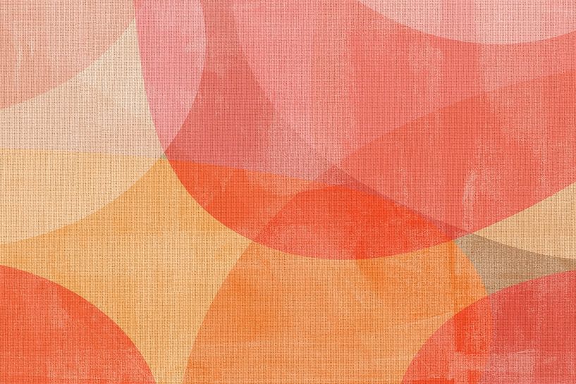 Soft Orange and Pink Organic Shapes by Dina Dankers
