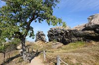 The Teufelsmauer between Neinstedt and Weddersleben in the Harz Mountains