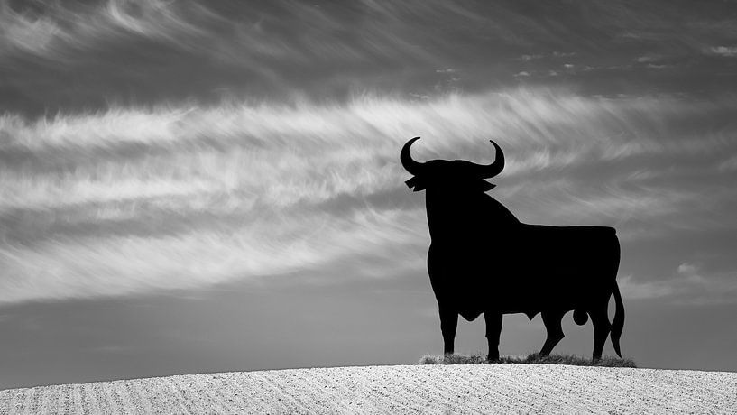 Osbornes Stier in Schwarz und Weiß von Henk Meijer Photography