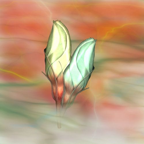 Eustoma 2 - Stilleven