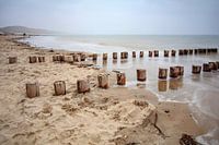 Zoutelande strand
