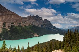 Lac Peyto Banff NP sur Ilya Korzelius