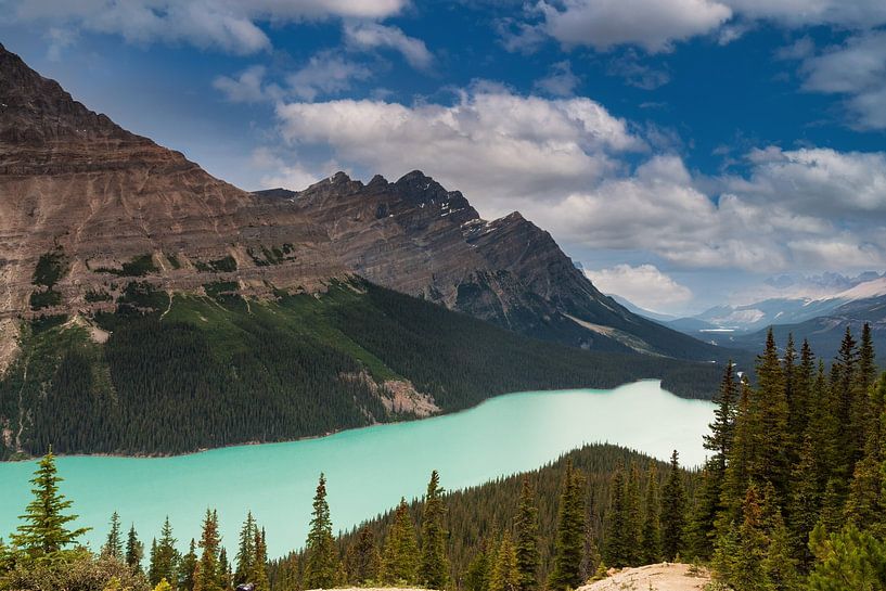 Peyto See Banff NP von Ilya Korzelius