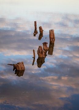 Logs in water by VIDEOMUNDUM