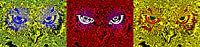 Trilogie : Visage de hibou 2