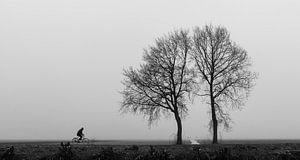 Eenzame fietser van Frans Batenburg