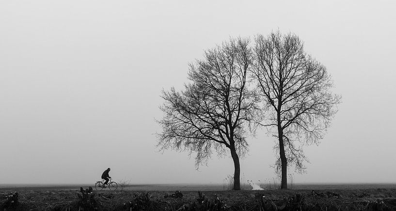 Cycliste solitaire par Frans Batenburg