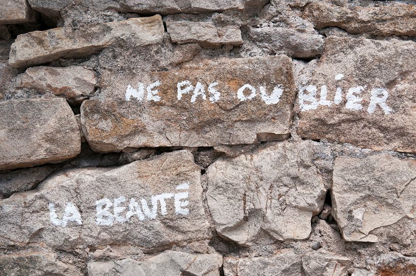 Beauty on a wall by Margot van den Berg