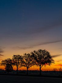 Sonnenaufgang von Akos Terdik