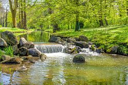 Cours d'eau tranquille
