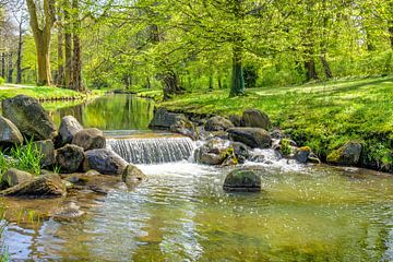 Waldbach im Frühlingslicht von Johann Pavelka