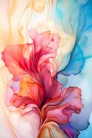 Colourful Stream