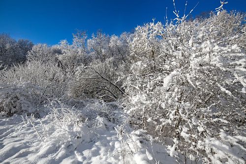 Winterlandschap