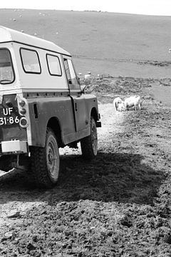 Land Rover  sur Monique ter Keurs