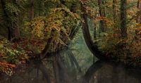 Warme herfst kleuren met water van René Vierhuis thumbnail