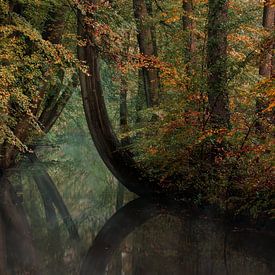 Warm autumn colours with water by René Vierhuis