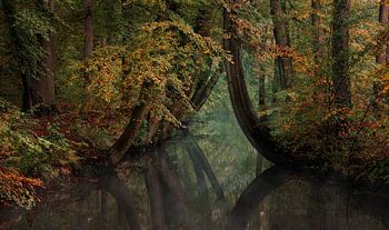 Warme herfst kleuren met water