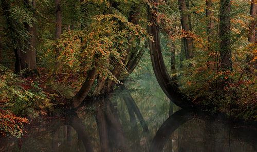 Warme herfst kleuren met water van René Vierhuis