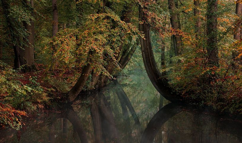 Warme herfst kleuren met water van René Vierhuis