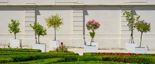 Plantenbakken voor nostalgische muur