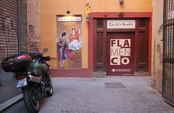 Flamenco club in Sevilla. van Jan Katuin