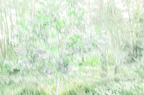 Bewegung im grünen Wald.